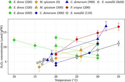 Tissue Hydrogen Peroxide Concentration Can Explain the Invasiveness of Aquatic Macrophytes: A Modeling Perspective